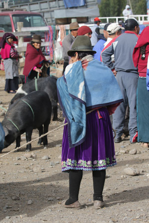 Veemarkt in Riobamba